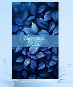 Wyzwanie 3000