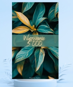 Wyzwanie 5000